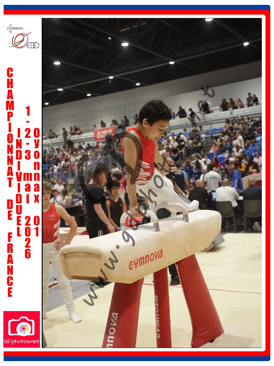 5338995