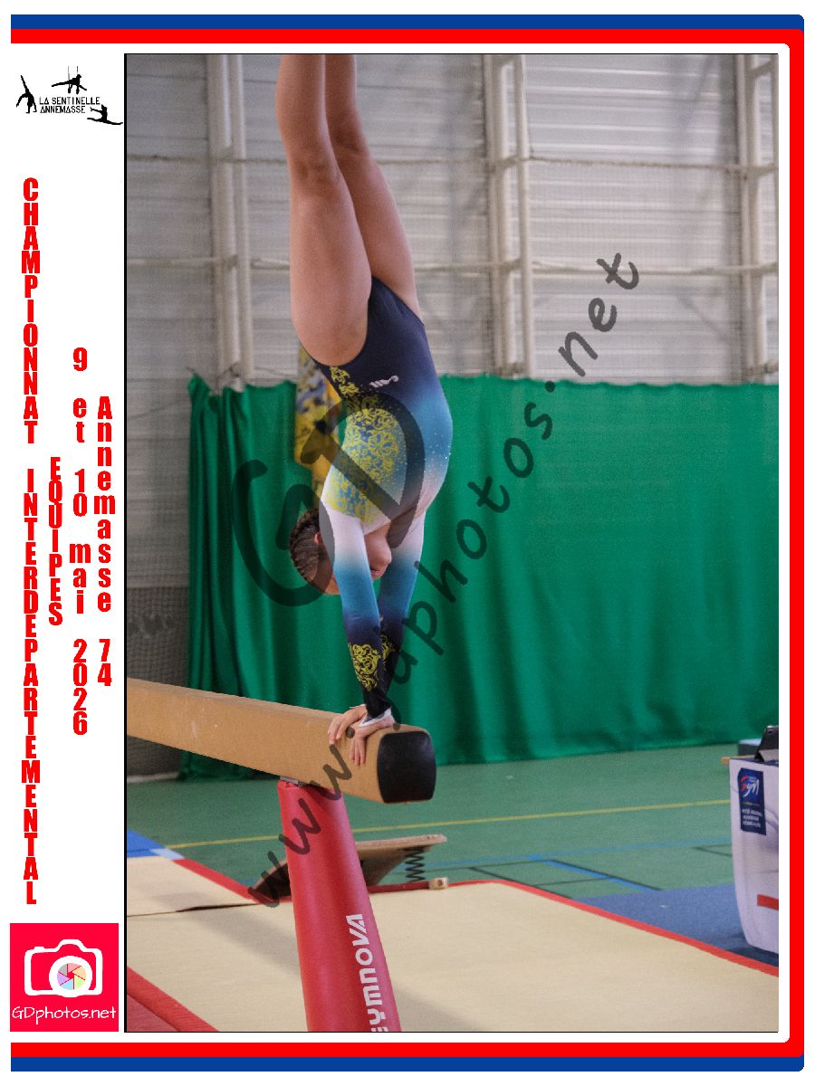 4558034