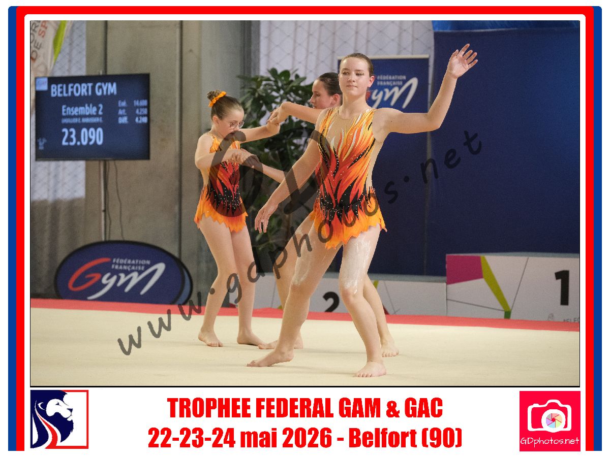 5381602