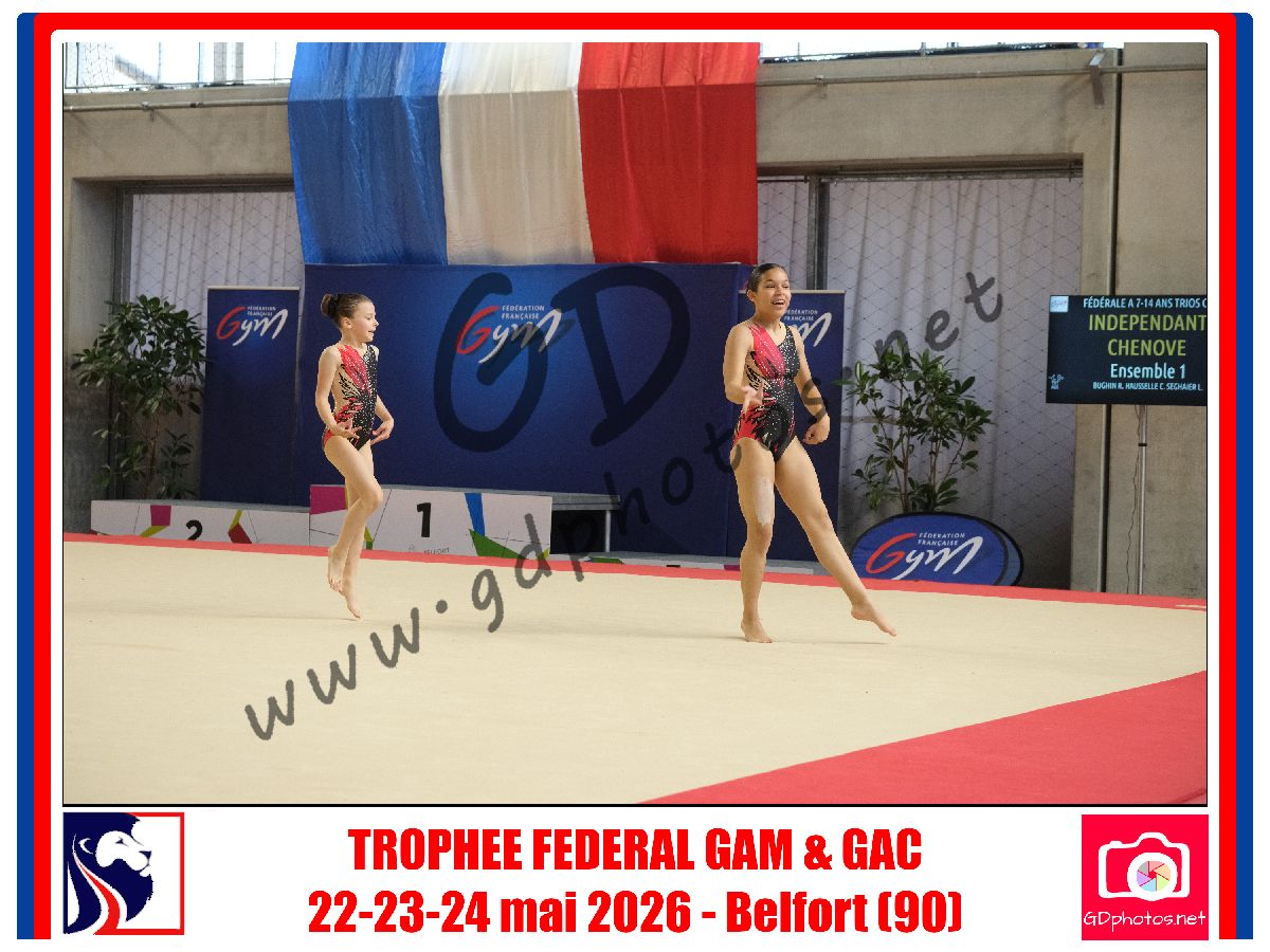 5383339