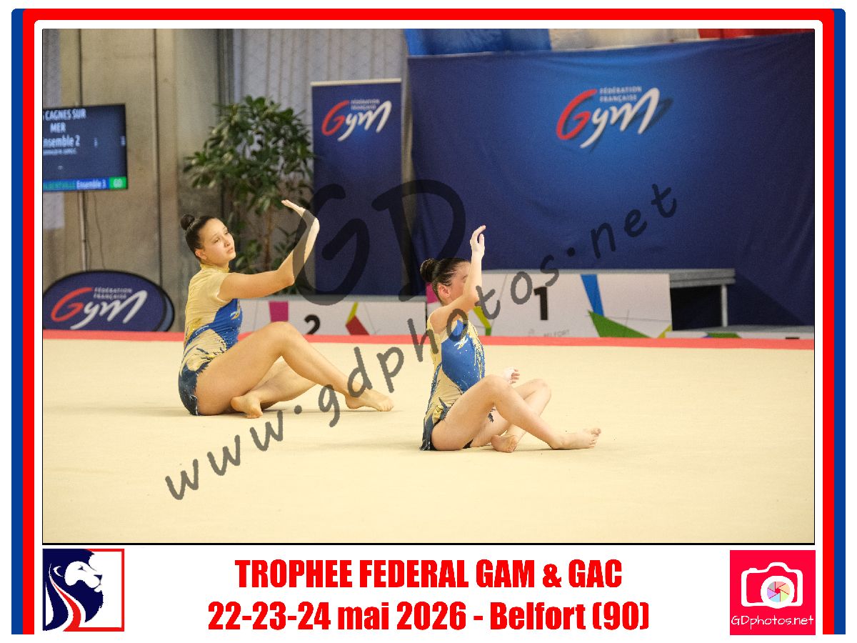 5388015
