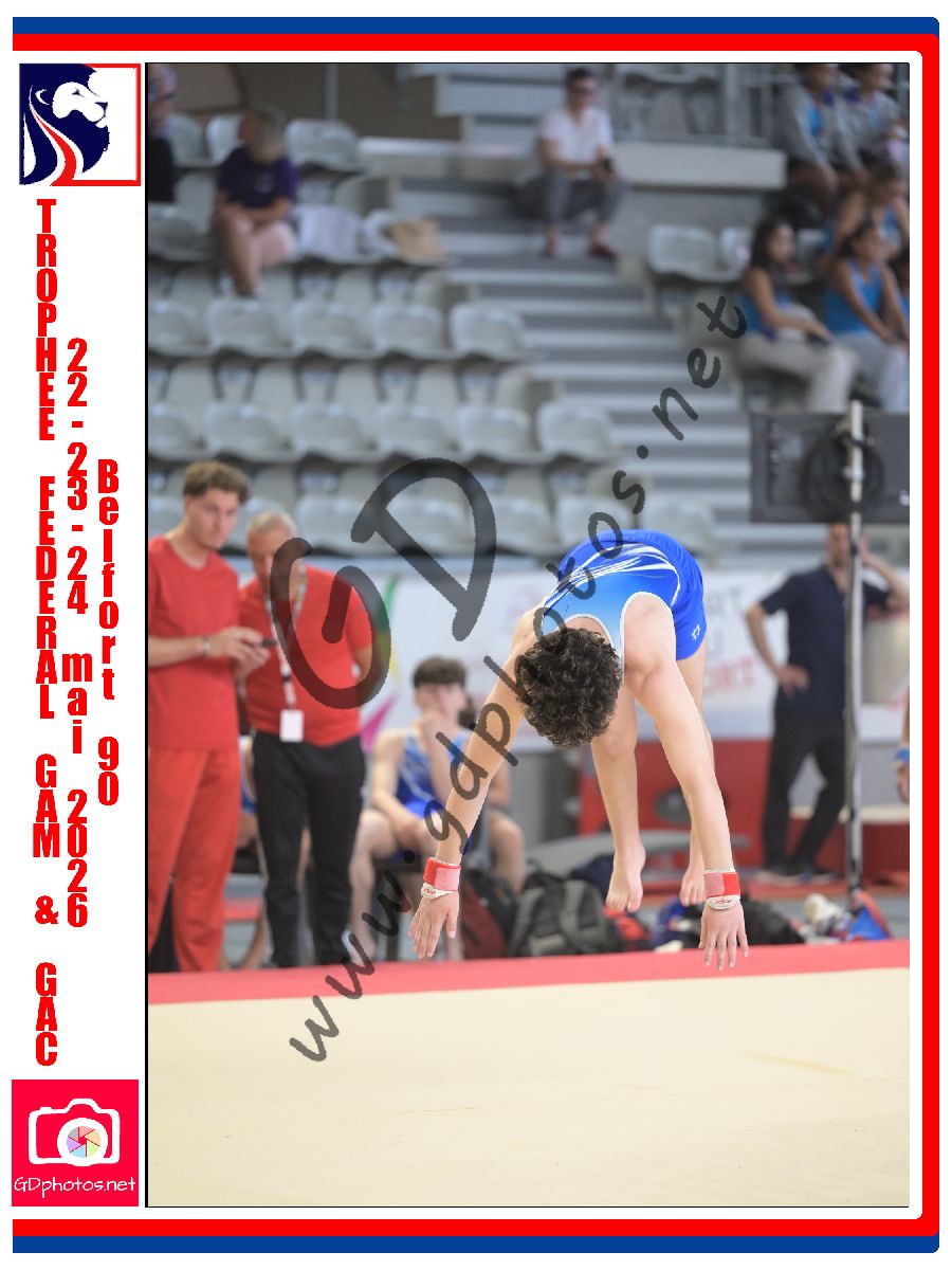 5382011