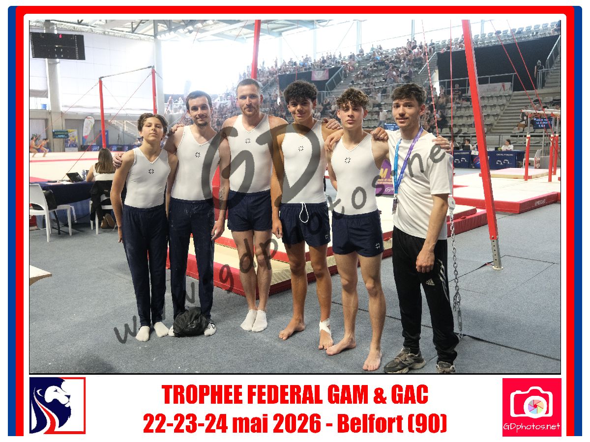 5394554