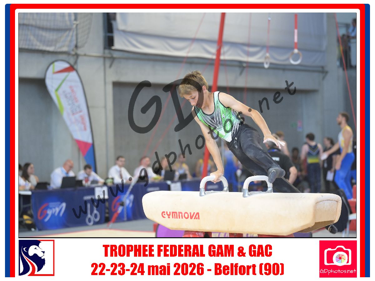 5394042
