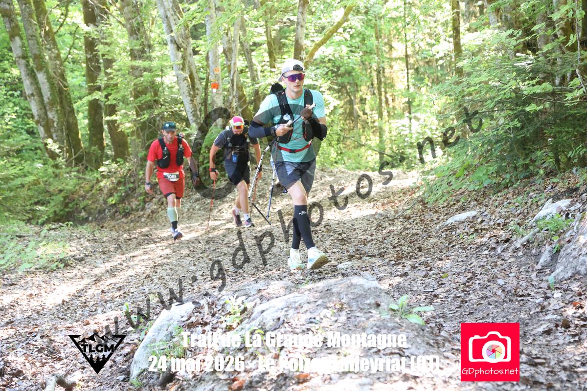 3630201