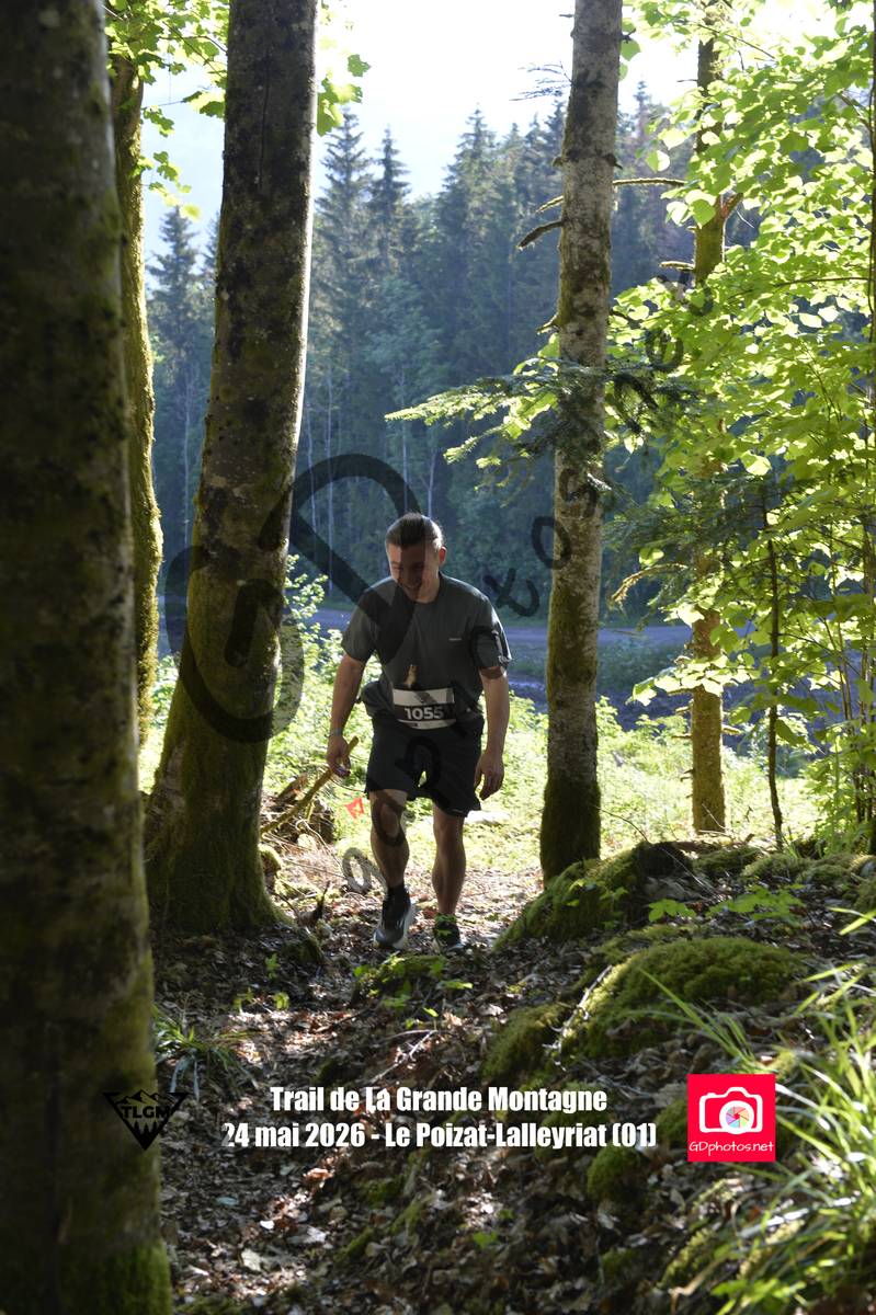 3630115