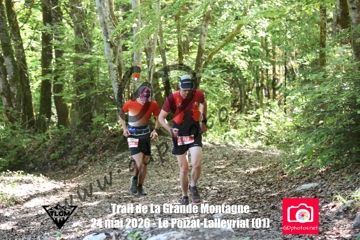 3630451
