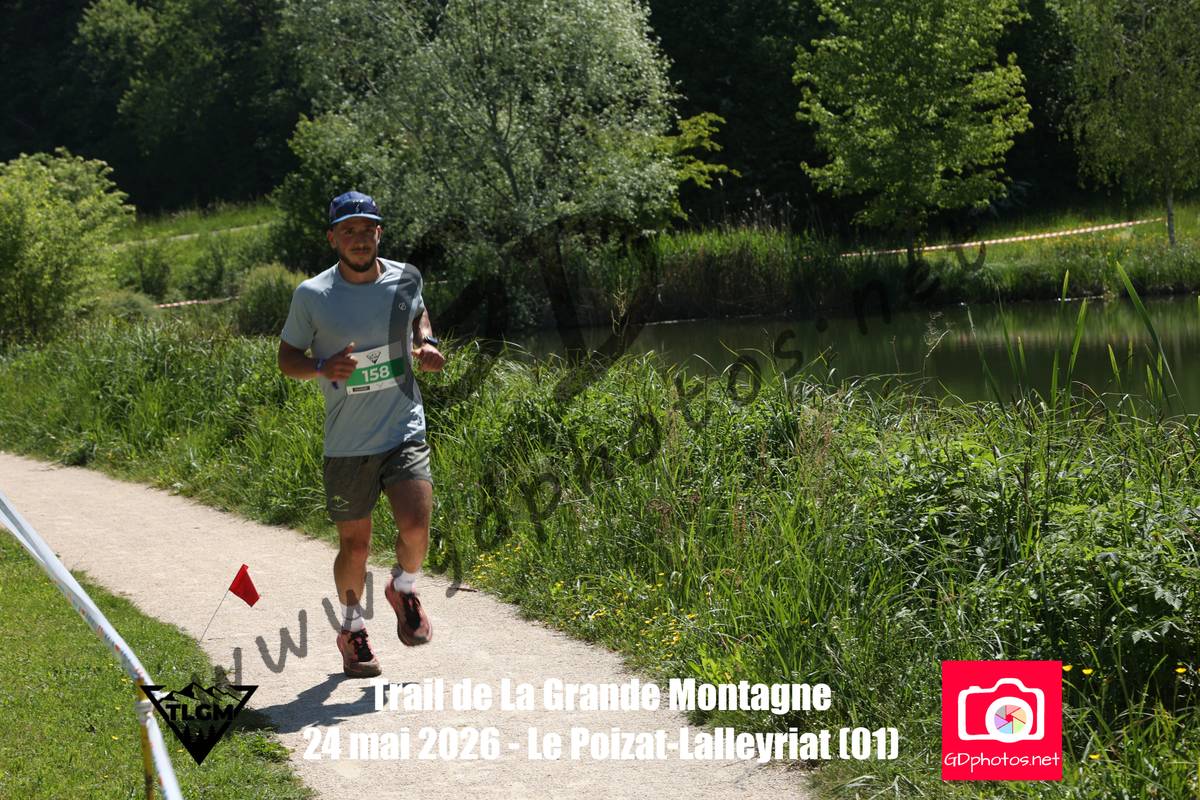 3630762