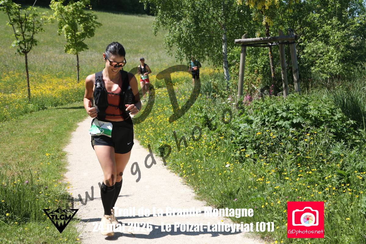 3631021