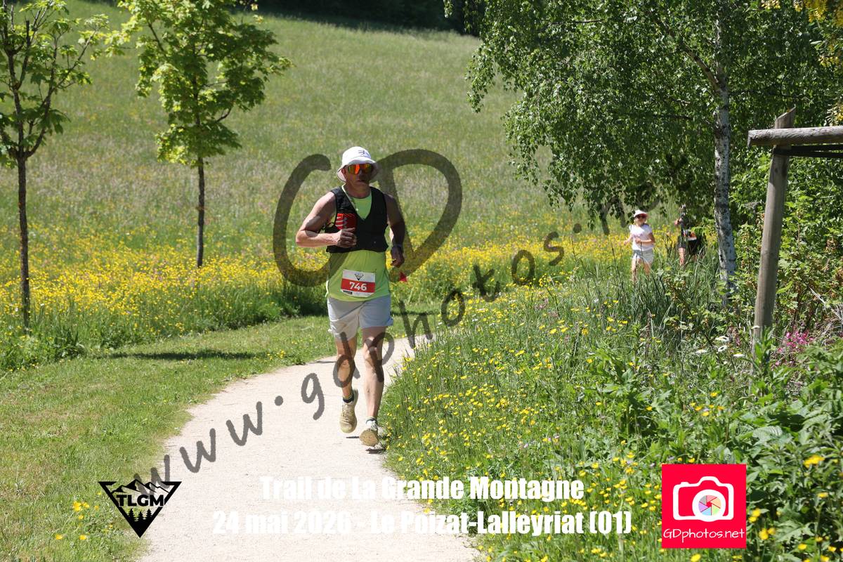 3631135