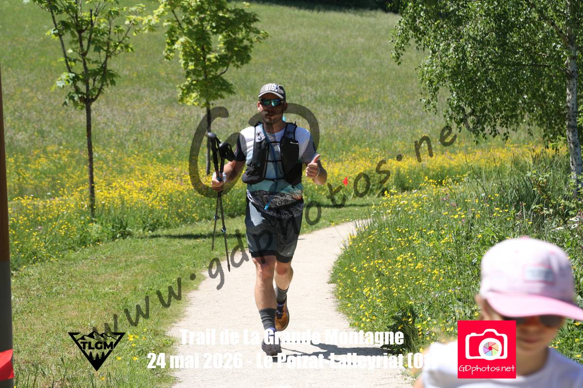 3631140