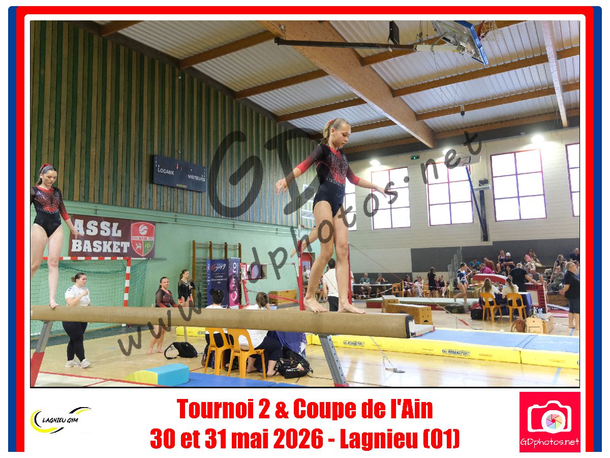 4564310