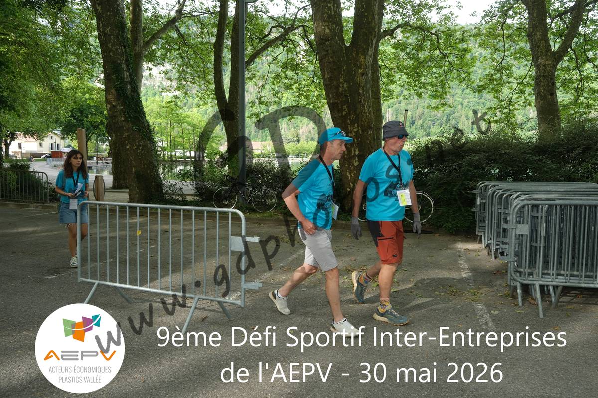 3631822