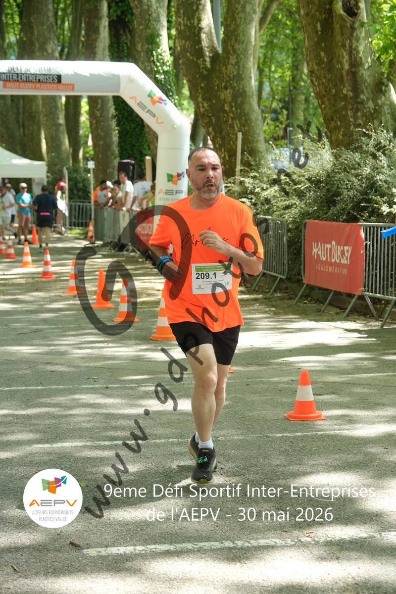 3634809