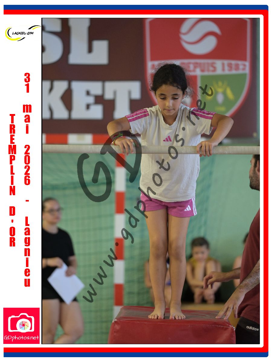 4566617