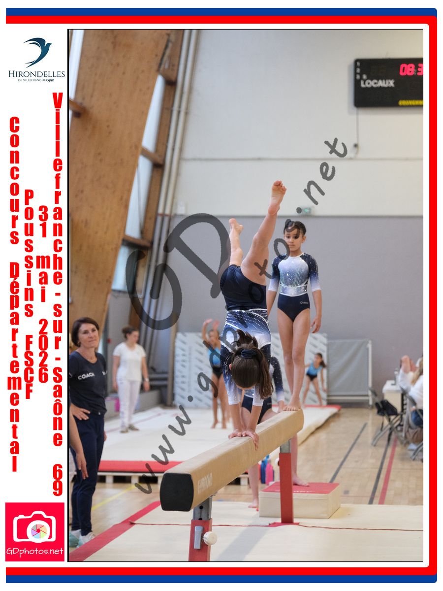 3636348