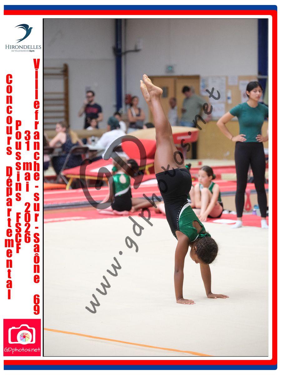 3636700