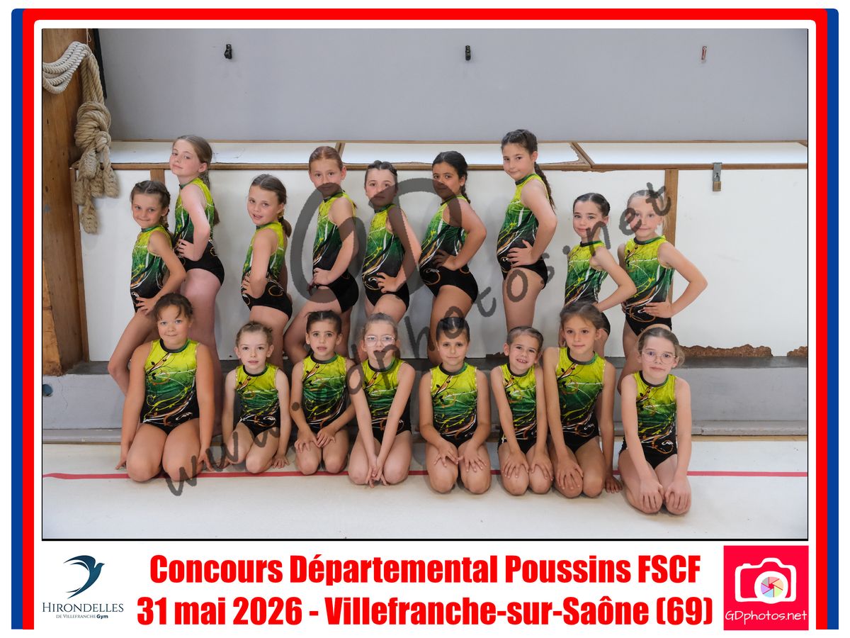 3639803