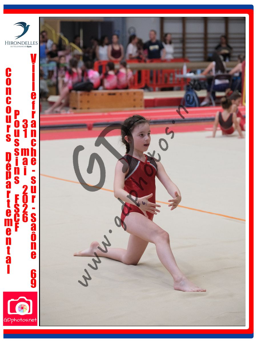 3637967