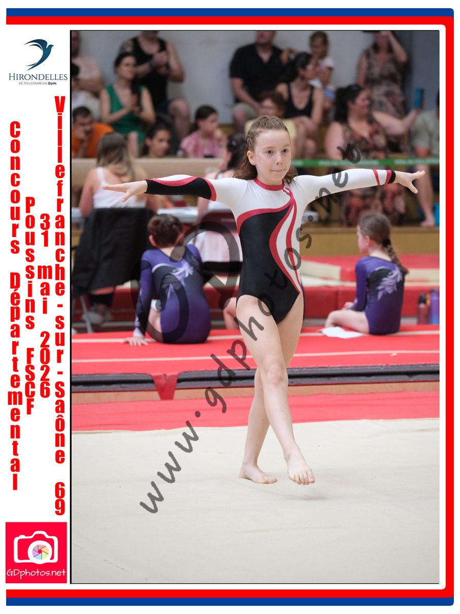 3638629