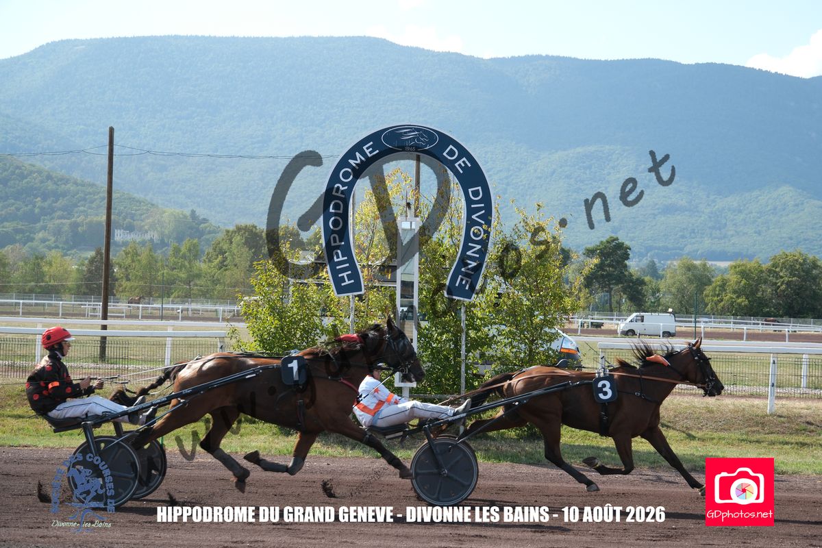 3205204