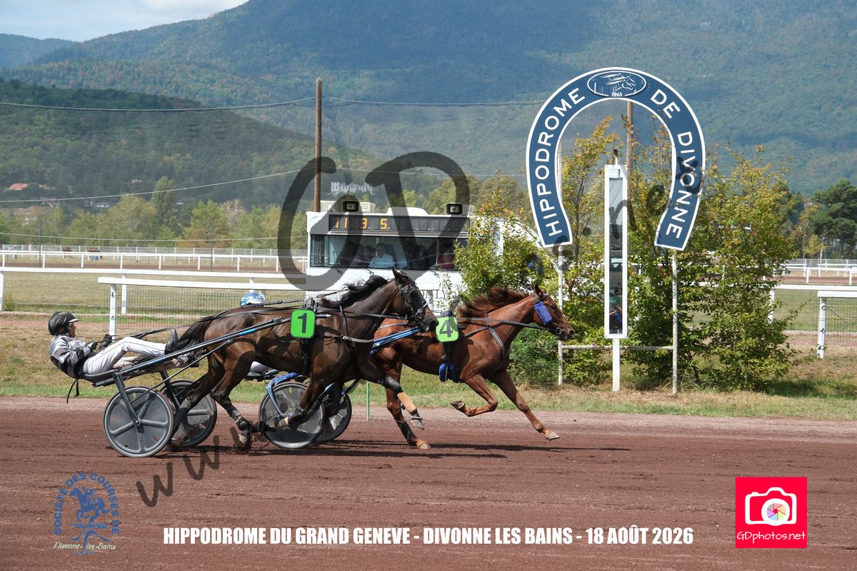 3205731
