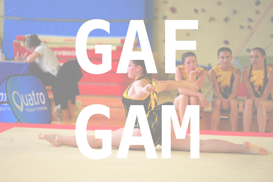 eventDat/miniatures/20250529GYMlagnieu.jpg