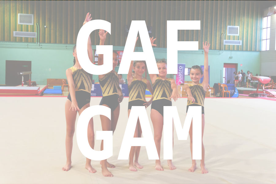 eventDat/miniatures/20260530GYMlagnieu.jpg