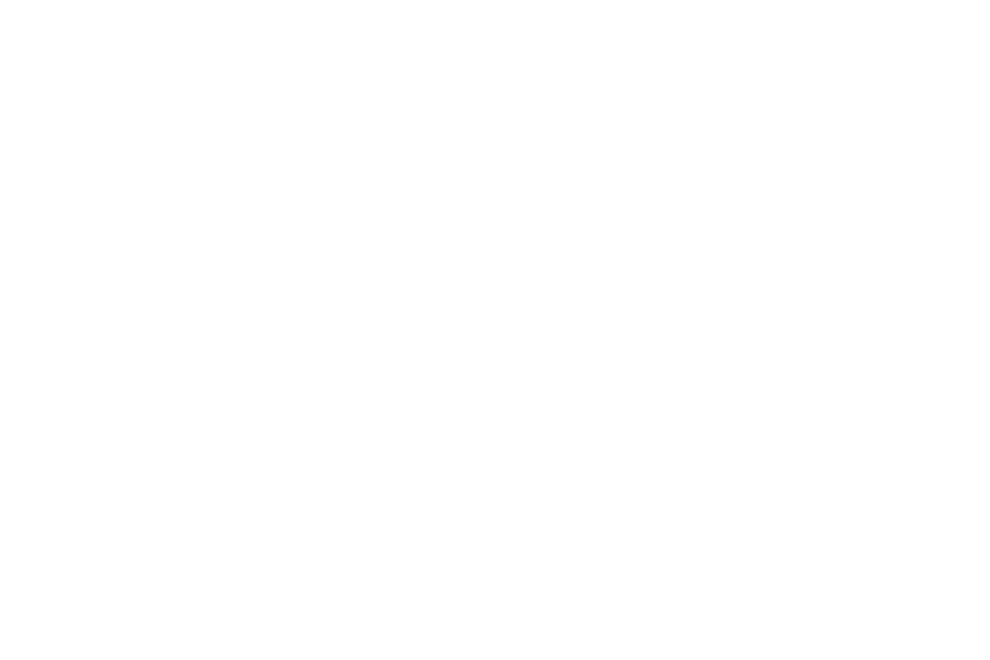 img/GAF.png